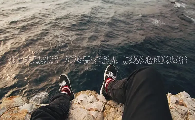 蜘蛛体育直播在线看